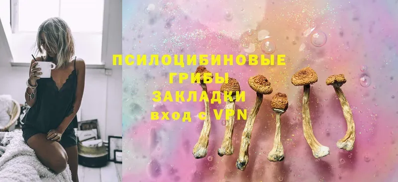 Галлюциногенные грибы MAGIC MUSHROOMS  Фатеж 